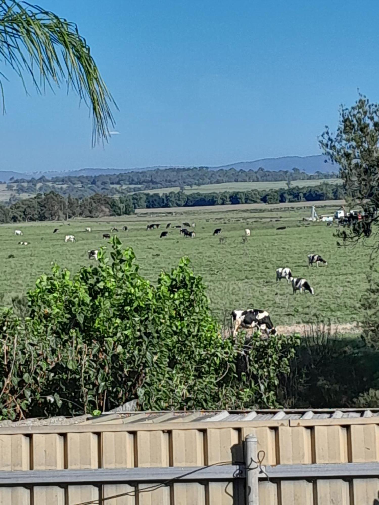 Muswellbrook Northside Bed & Breakfast Εξωτερικό φωτογραφία